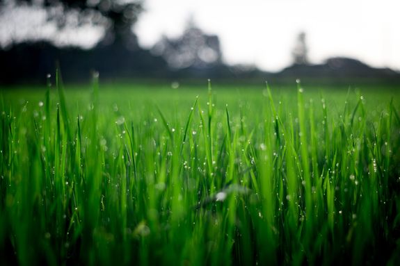 Aeration
