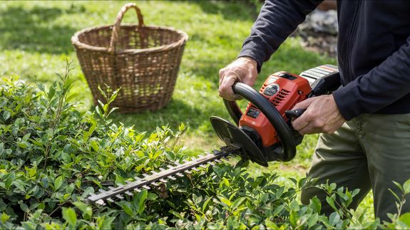 Man trimming bushes